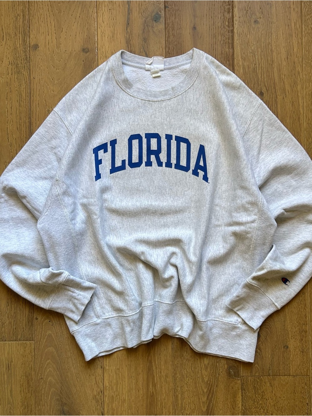 Champion reverse weave Florida gators oversized boxy crewneck